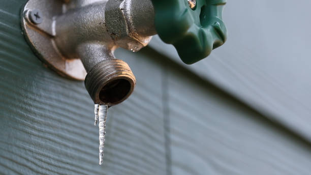 Best Drain Cleaning Services  in Plum Grove, TX
